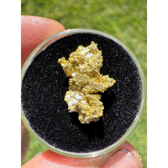 California Native Gold Crystal - 1.86 grams - Picture 5 of 7
